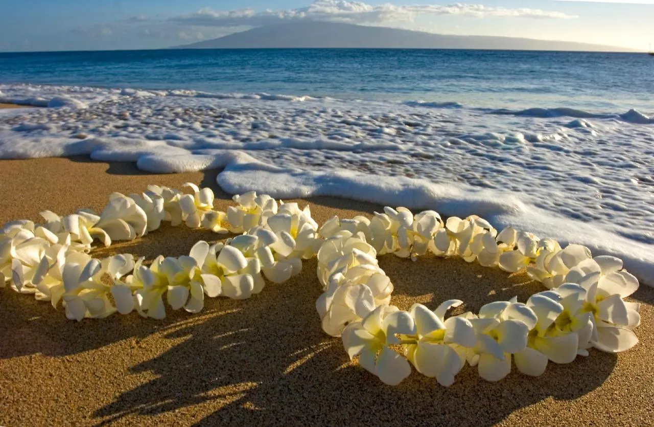 Apartament Cozy & Diamond Head View At Waikiki With Parking Honolulu